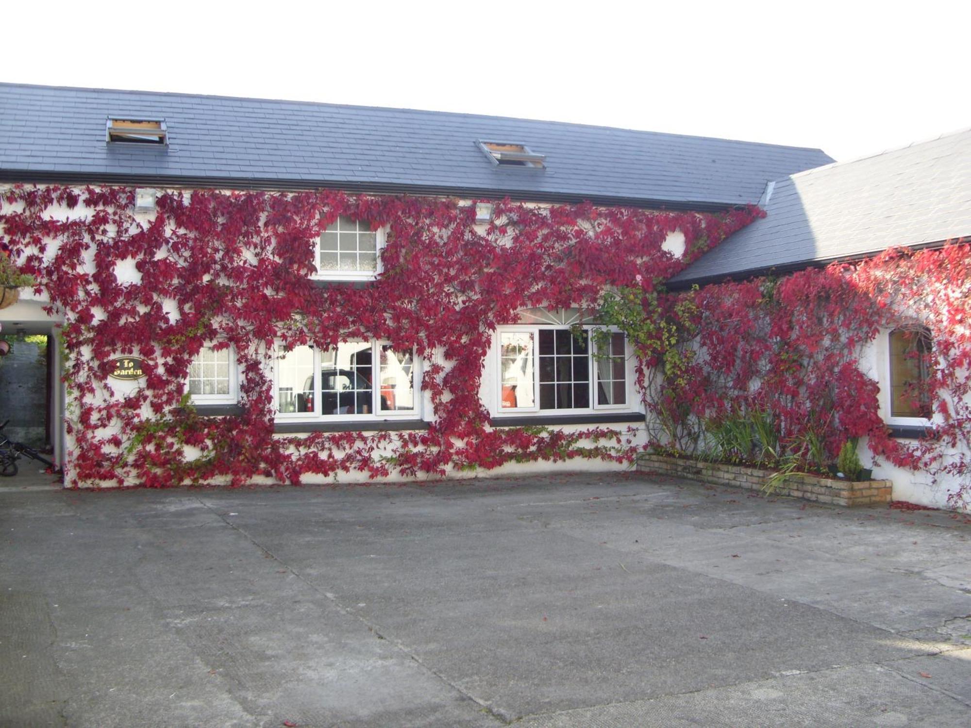 Townsend House Guest House Birr Eksteriør billede